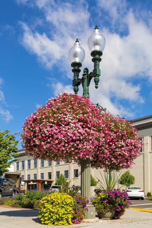 Discover the Region’s Best-Kept Secrets with Pacific Northwest Guided Tours