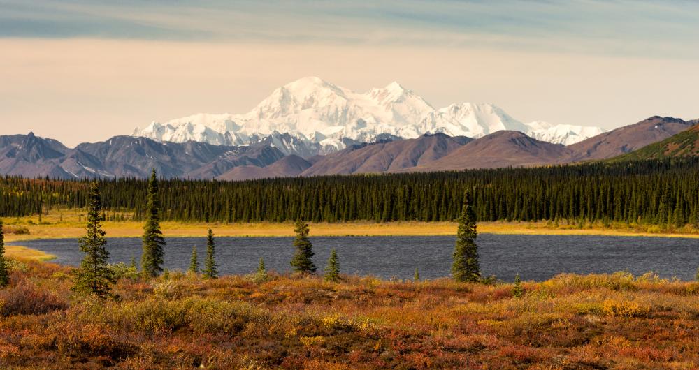 Denali Elevation