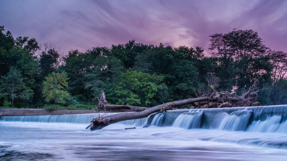 Unwind with Nature Walks at Duke Island Park