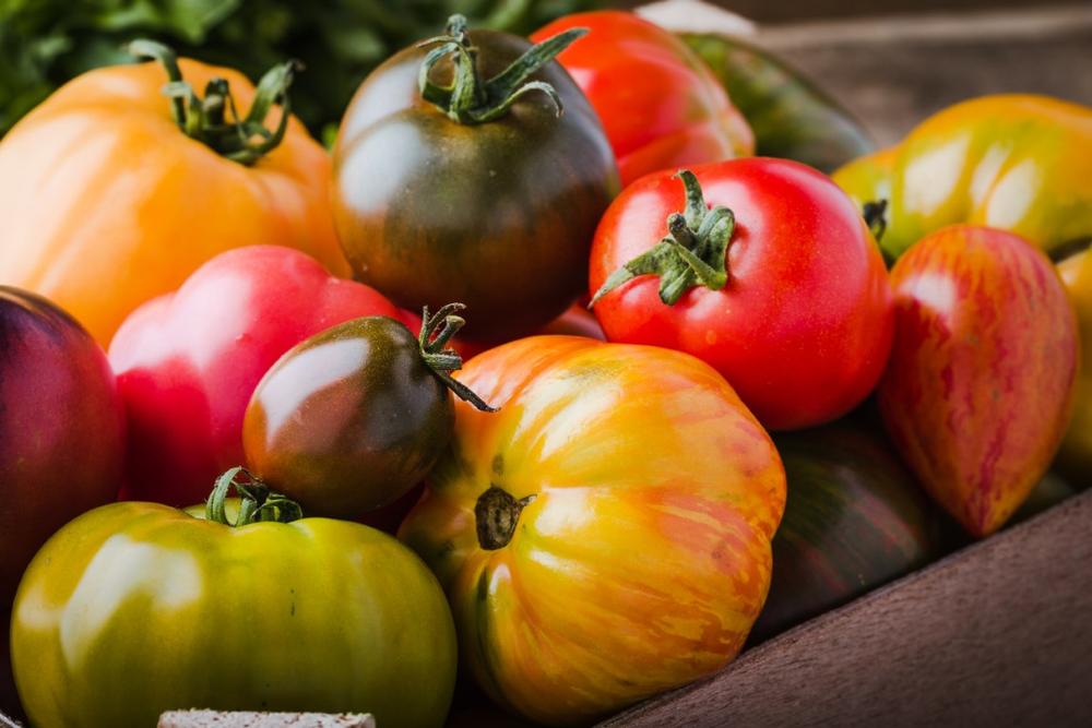 Fairview Farm - Walk along flower fields and enjoy farm-fresh goods on a peaceful fall outing.