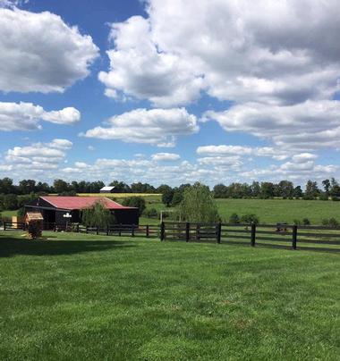 Moonlight Fields Wedding Farm