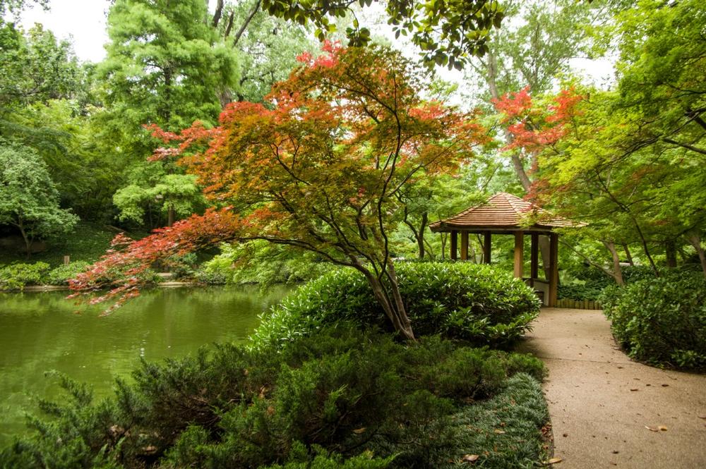 Fort Worth Botanic Garden