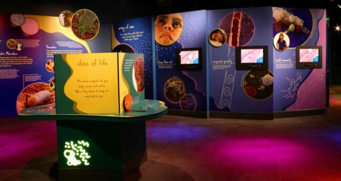 discovery place science charlotte