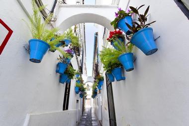 Alley of the Flowers