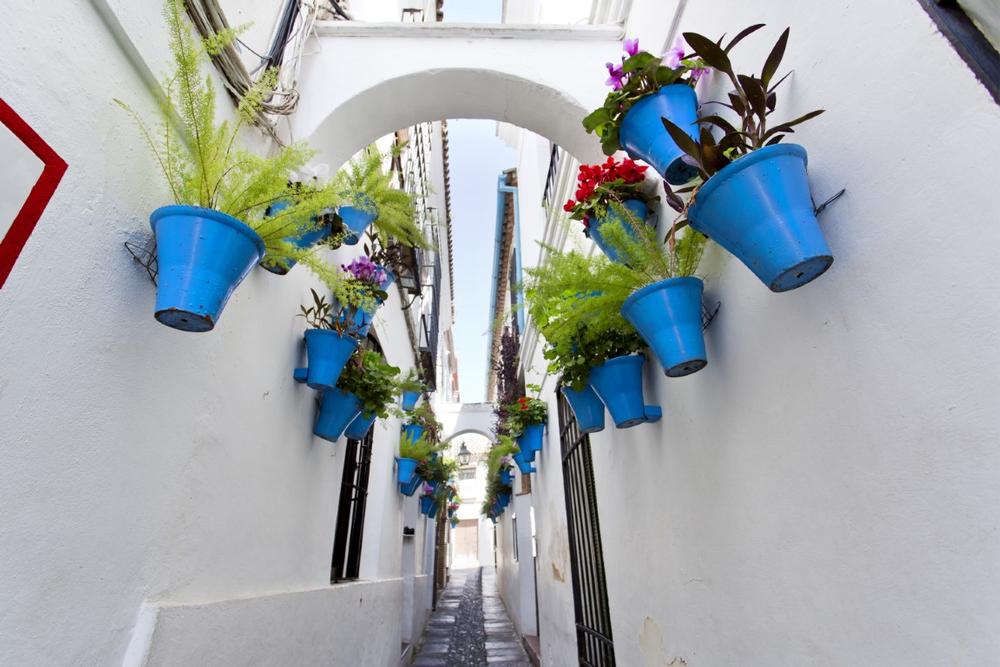Capture the Perfect Photo Strolling Cordoba’s Alley of the Flowers