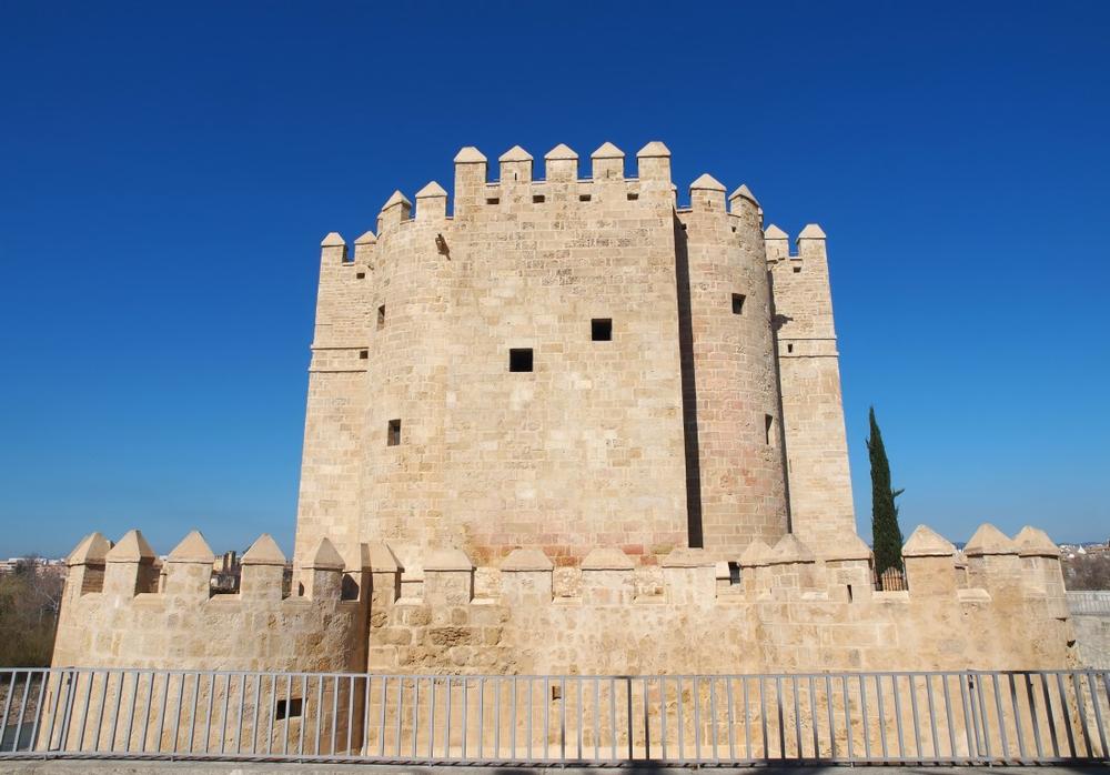 If You Want Stunning Views and Stories, Climb Torre De Calahorra