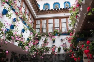 Courtyards - patios