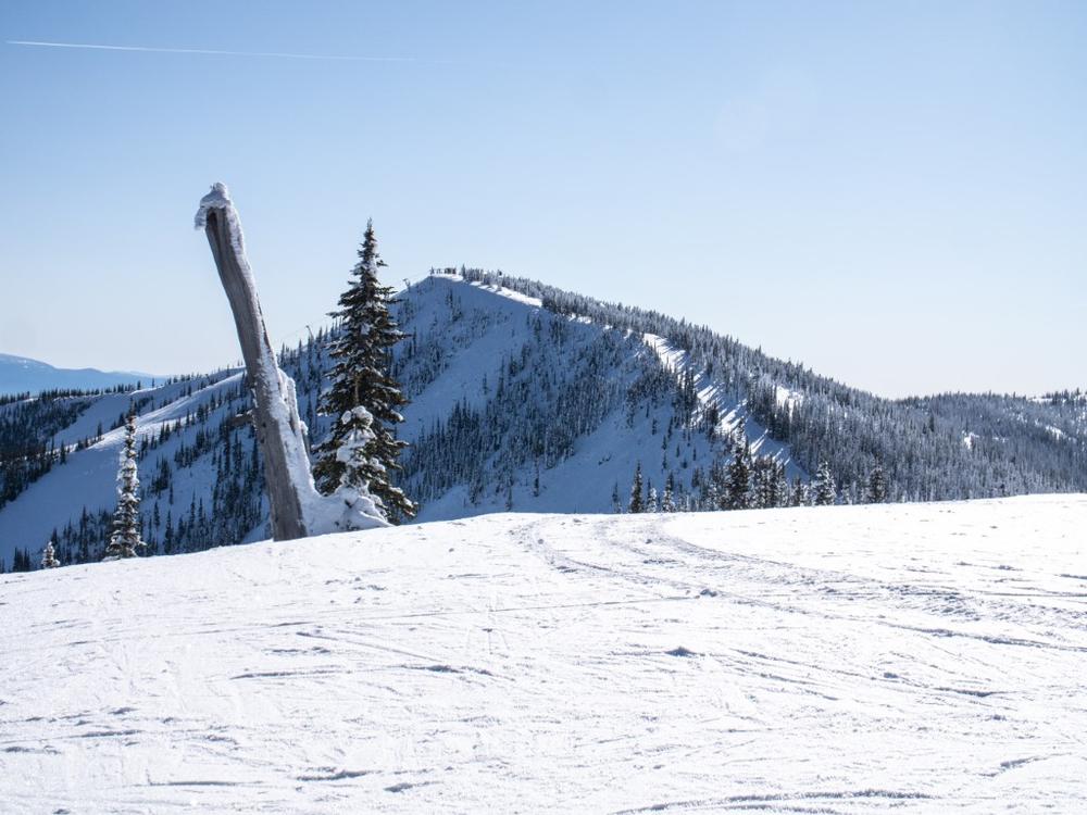Ski or hike at Schweitzer Mountain Resort
