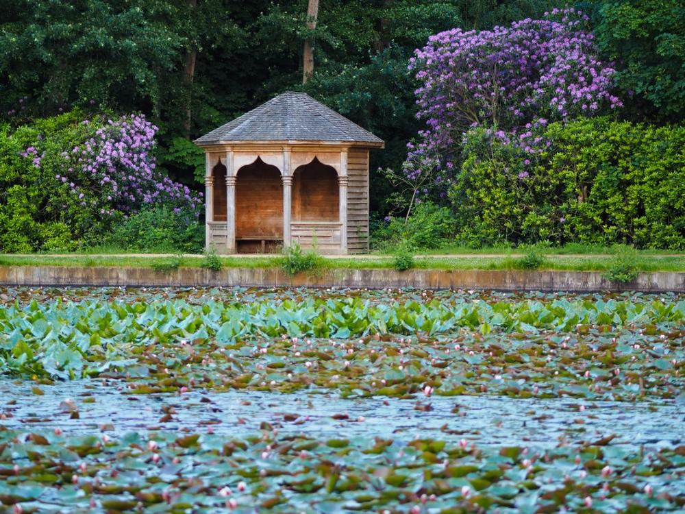 Stroll Expansive Gardens and Woodlands at Windsor’s Great Park