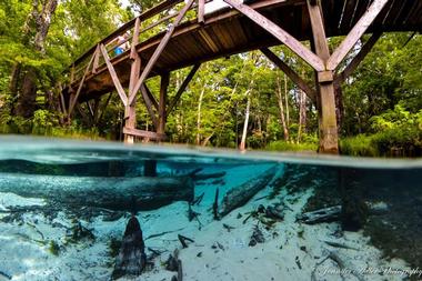 Thing to do in the surrounding area
