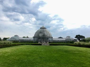 Anna Scripps Whitcomb Conservatory | Free & Affordable Things to Do in Detroit, Michigan