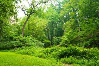 Rock Creek Park