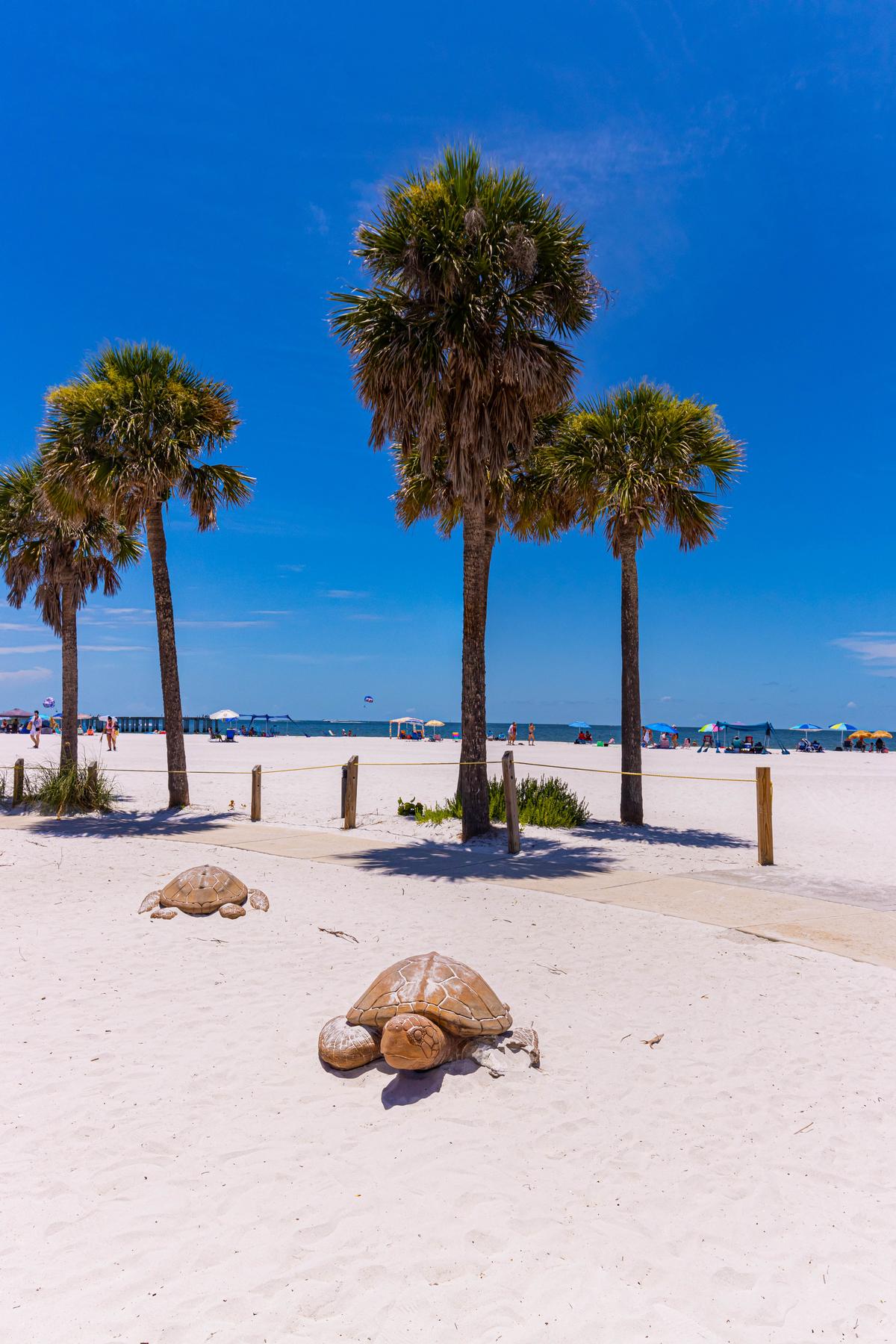 Replicas of Sea Turtles Under Palm Trees at Lynn Hall Memorial Park
