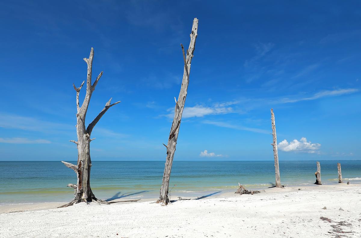 Lover's Key State Park in Fort Myers