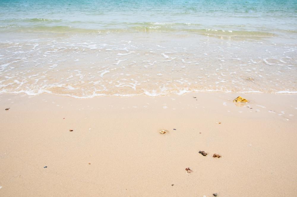 Walk along unspoiled sands and spot diverse wildlife.