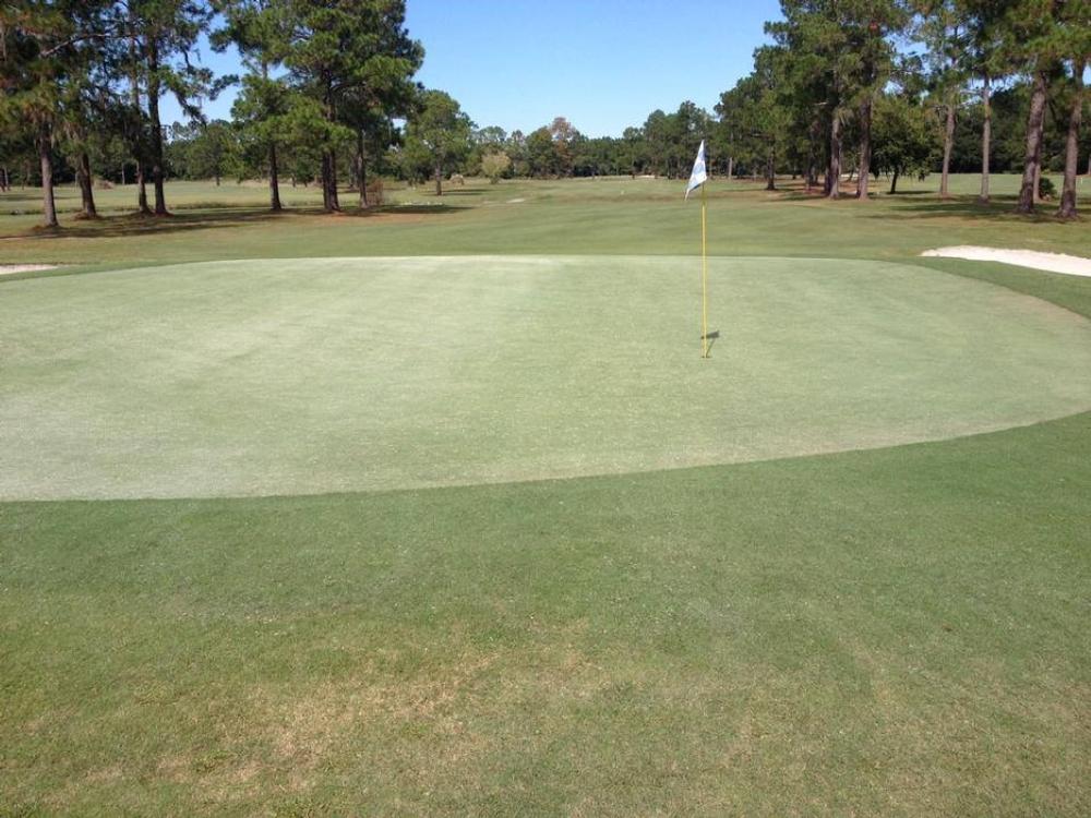 Tee Off with Southern Charm at Quail Heights Country Club