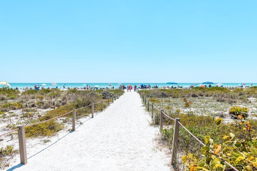 Collect unique seashells and explore charming island trails.