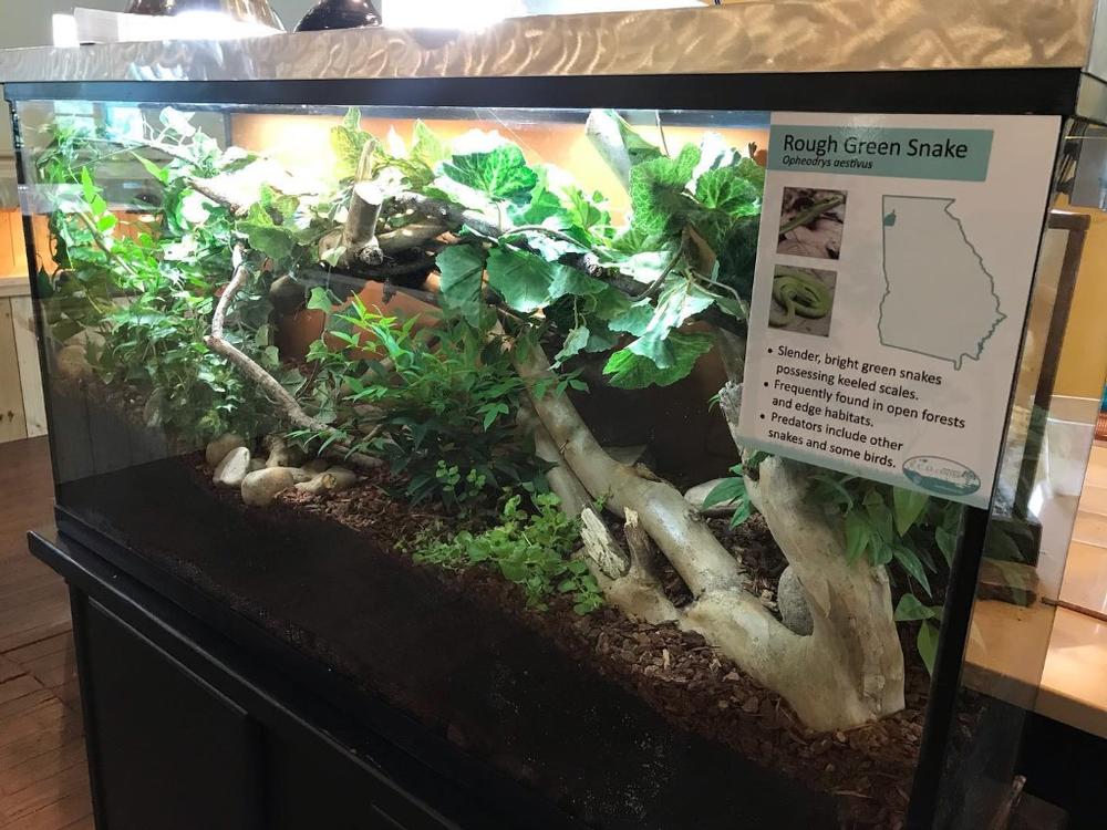 Learn and Explore at the Rome-Floyd E.C.O. Center