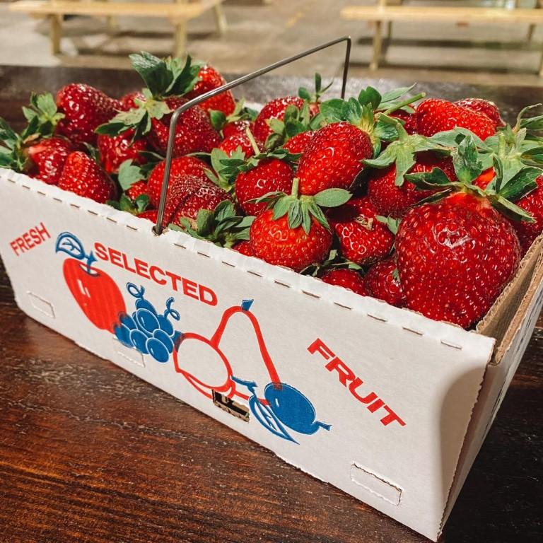 If You Crave Farm Fresh Adventures, Head to Lazy Creek Farms