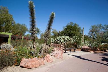 Ethel M Chocolate Cactus Garden