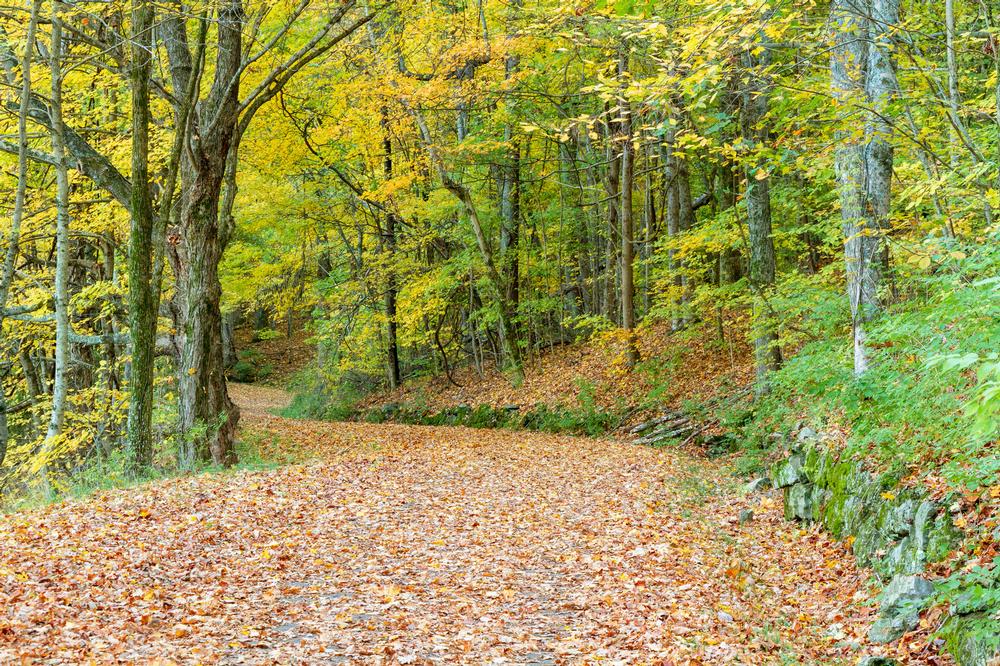 Nashville Greenways