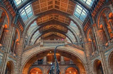 The Natural History Museum