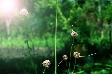 Shelby Bottoms Nature Center | Free and Affordable Things to Do in Nashville