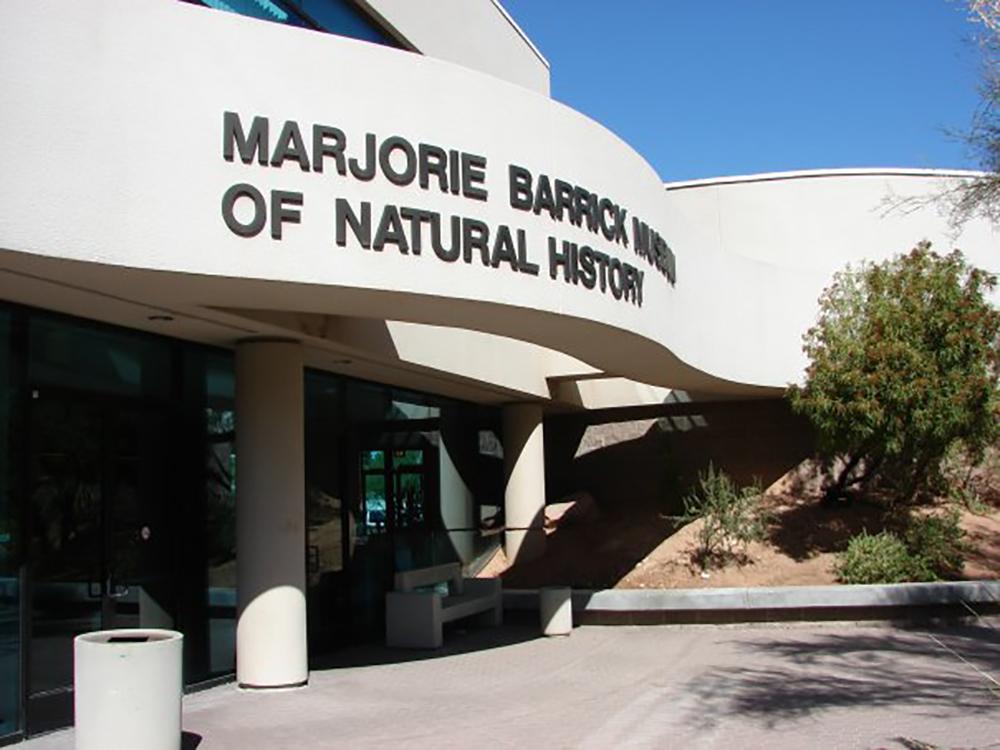 The Marjorie Barrick Museum of Art