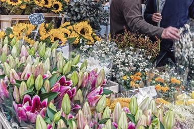 Columbia Road Flower Market