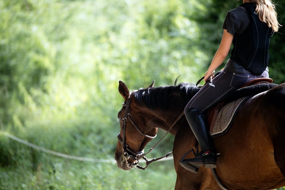 Saddle Up for Adventure: Ride, Relax, and Explore at The 1000 Acres Ranch Resort