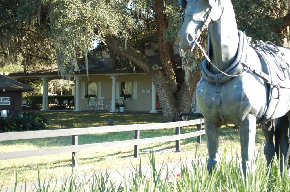 Discover Equestrian Excellence at Grand Oaks Resort