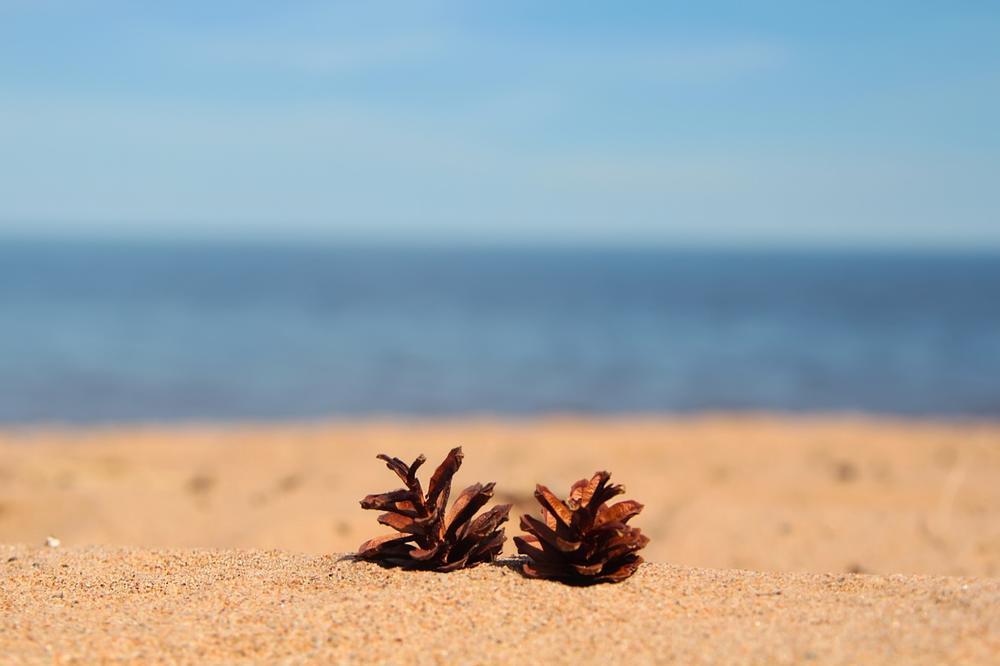 Enjoy lakeside picnics and explore fun waterfront activities.