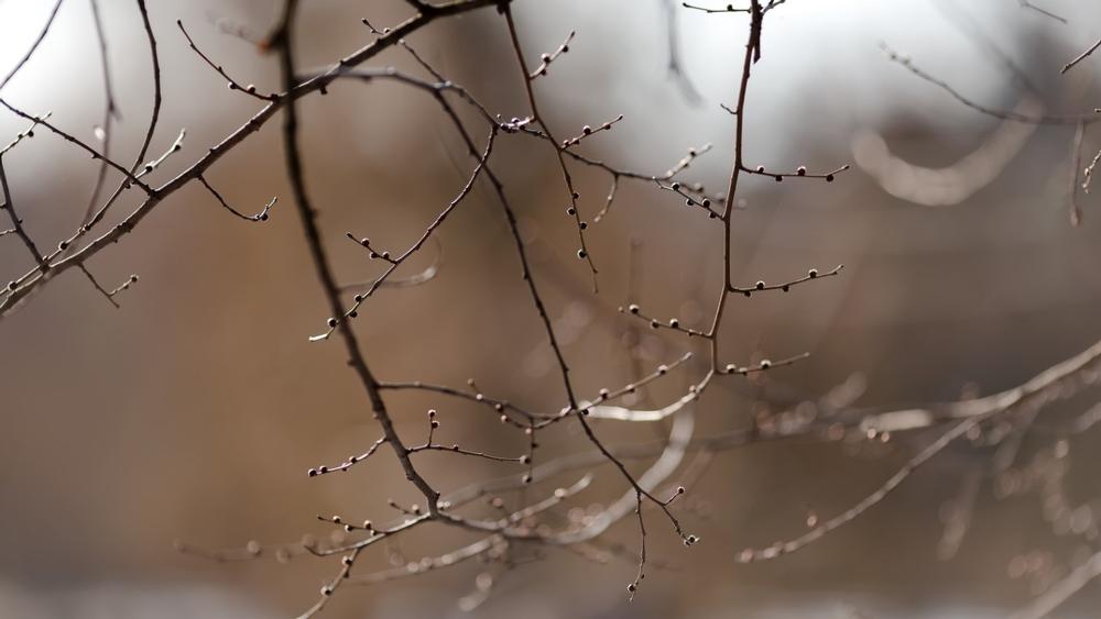 Explore natural habitats, enjoy hiking, biking, and birdwatching.
