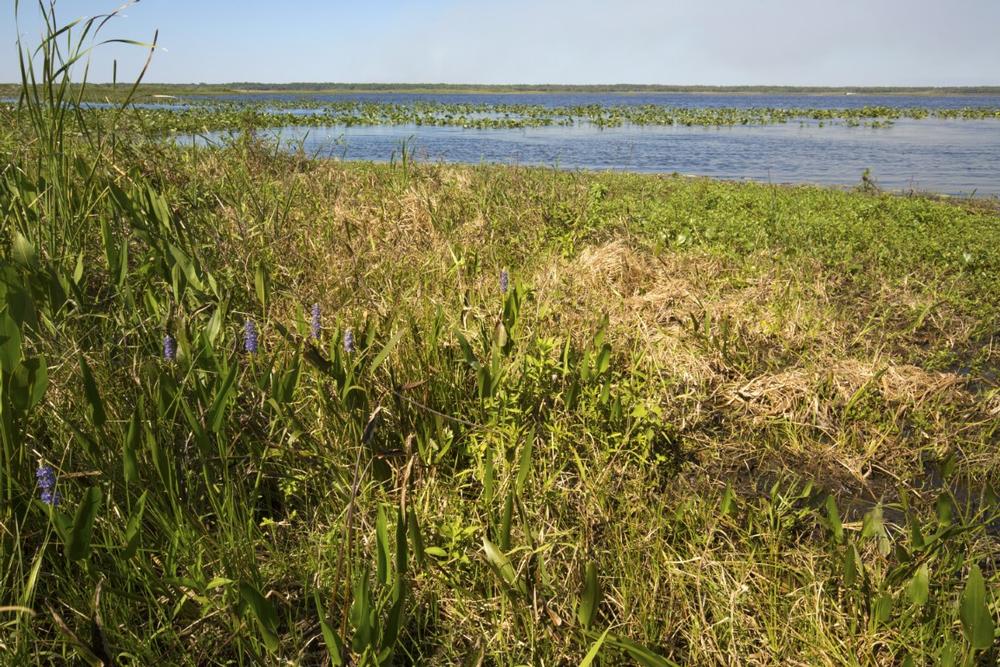 Hike scenic trails, enjoy boating, fishing, and wildlife sightings.