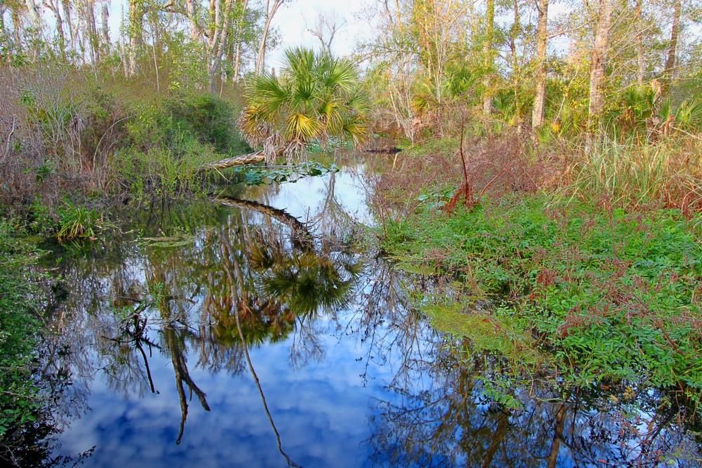 Hike quiet trails, explore diverse ecosystems and admire native wildlife.