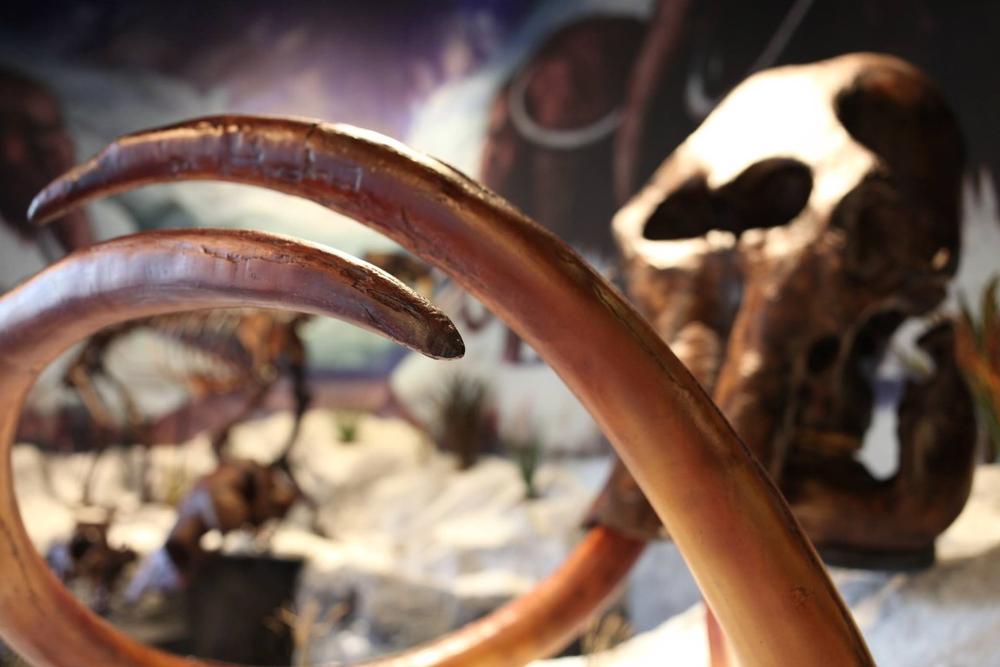 If You Love Local Legends, Explore the Douglas County Museum of History & Natural History