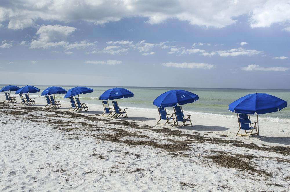 Kayak through mangroves and explore unspoiled sandy shores.
