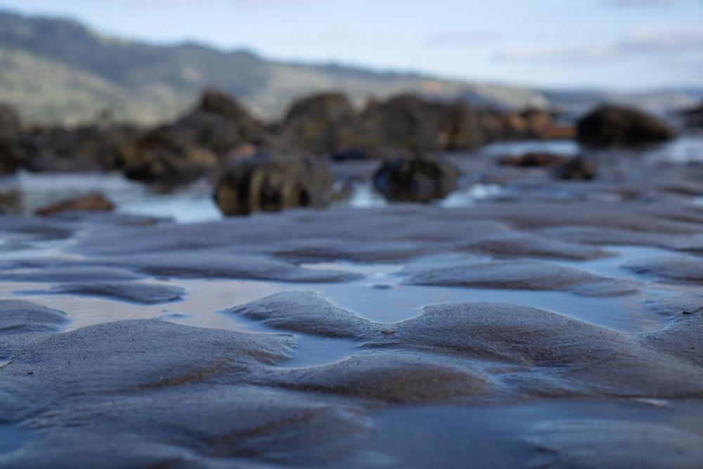 Rock Point Beach