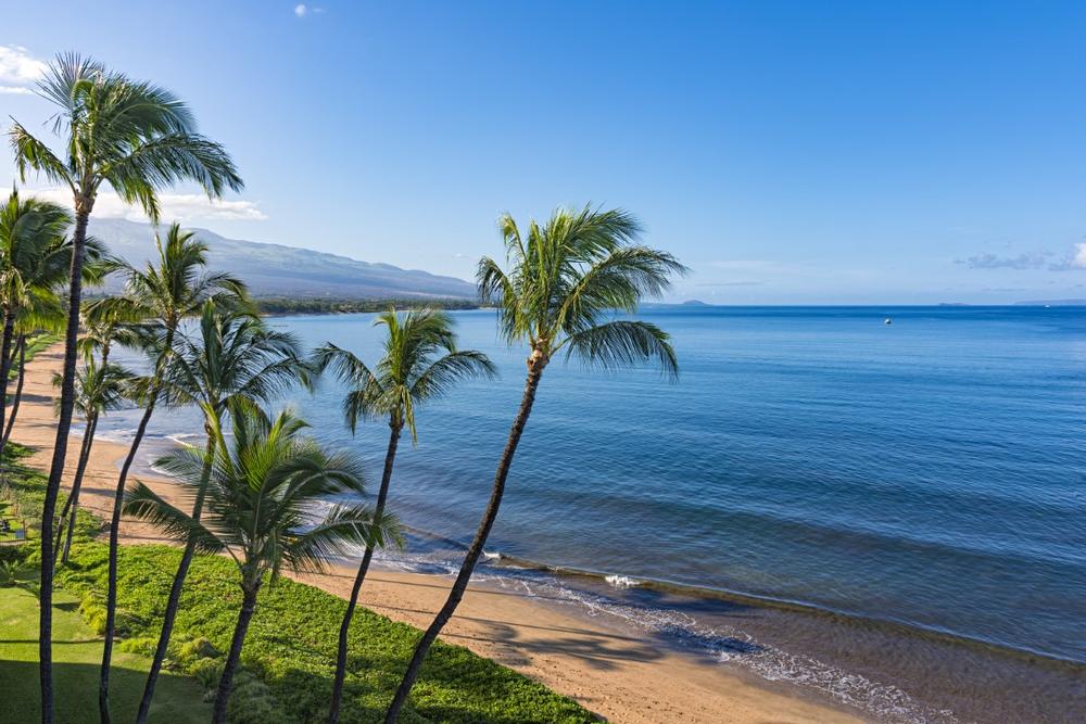 Sugar Beach - 25 minutes from Kahului