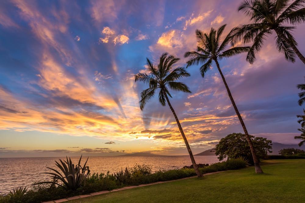 Discover top beach spots and plan easy outdoor attractions for your Maui trip.