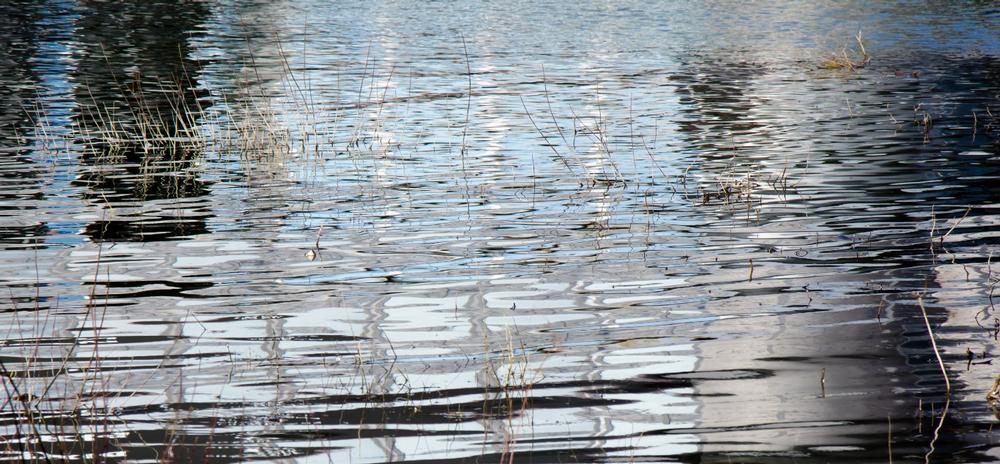 Hike Scenic Trails at Myron and Sonya Glassberg Family Conservation Area