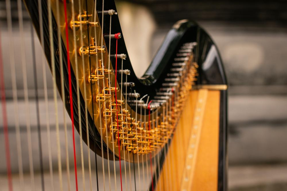 Experience Global Sounds at The Music Museum
