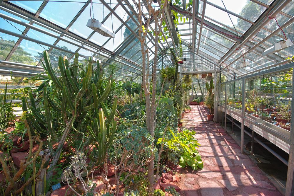 If You Love Rare Plants, Wander Through the University of Basel Botanical Garden
