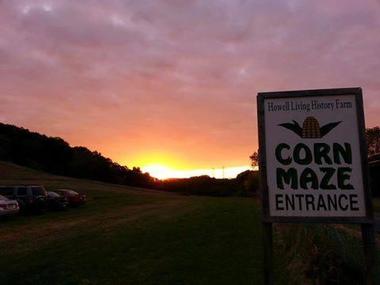 Visitor Information