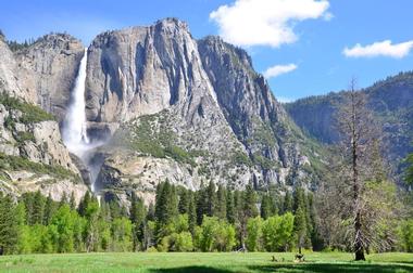 Elevation of Yosemite Compared to California