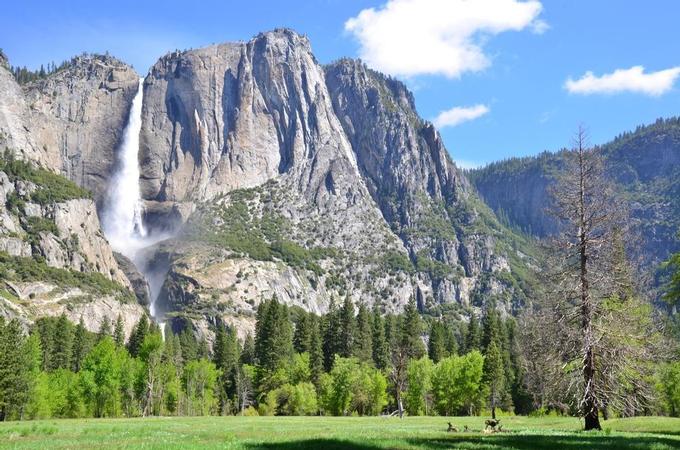 Yosemite Elevation