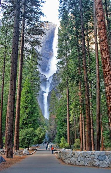 Important Information and Things to Do at Yosemite National Park