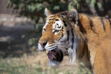 Odense Zoo