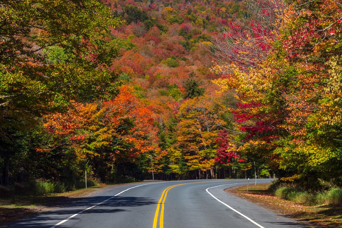 Go hiking in Miller State Park