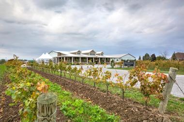 Pondview Estate Winery | Canadian Wineries & Wine Festivals